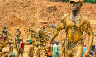 Ahanta Chiefs Demand Prosecution Of Galamsey Kingpin After Arrest Of Suspect