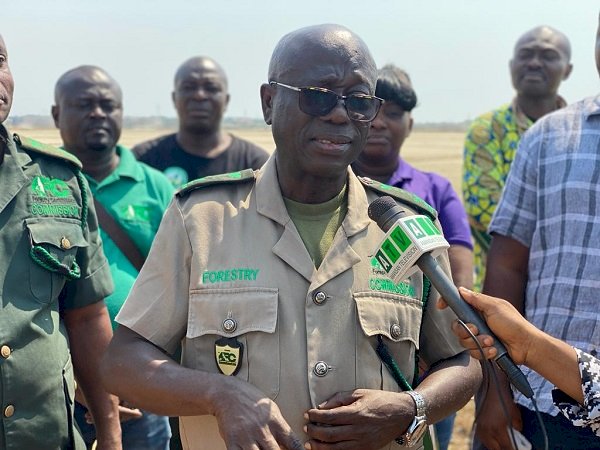 Ghana Has Lost 30-40 Percent Of Its Wetlands - Wildlife Division