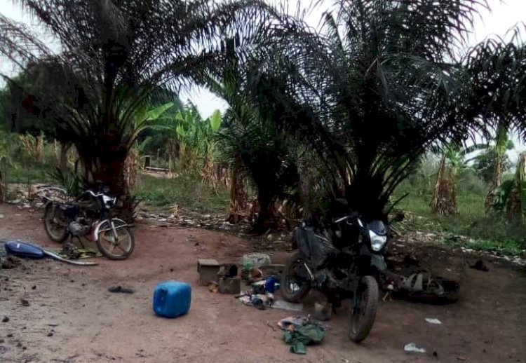Odikro Of Maame Krobo Wants Relocation Of Herdsmen Over Recent Murder