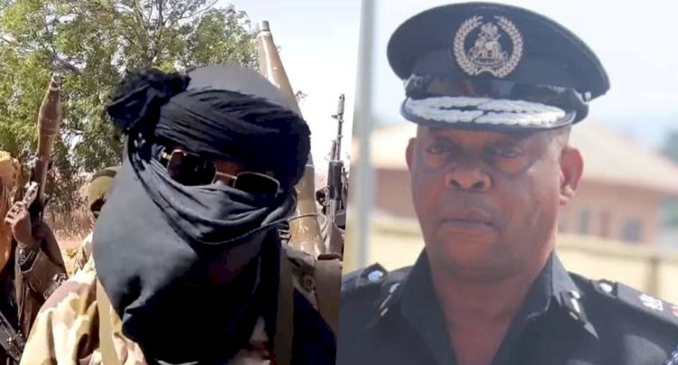 Niger State: Bandits Kill DPO, 4 Other Policemen In Gun Battle