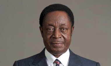 I Will Salvage Economy - Kwabena Duffuor