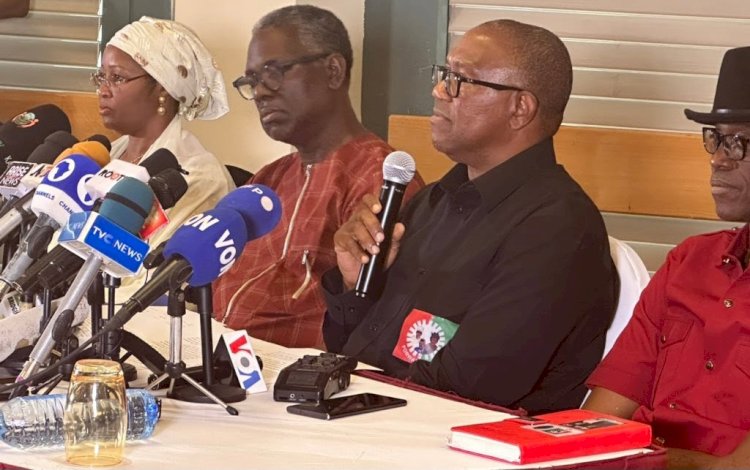 I Will Prove I Won - Peter Obi