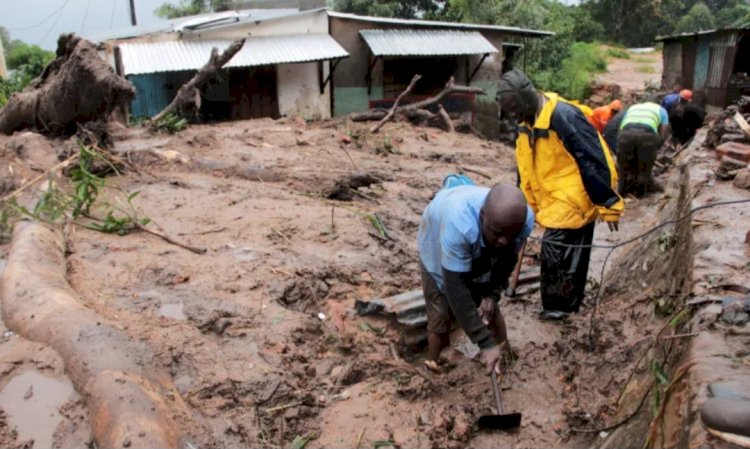 Dozens Killed As Cyclone Freddy Slams Malawi And Mozambique