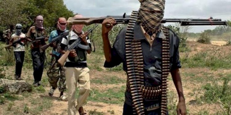 Nigeria: Terrorists Kill Army Major, 7 Other Security Operatives In Niger State