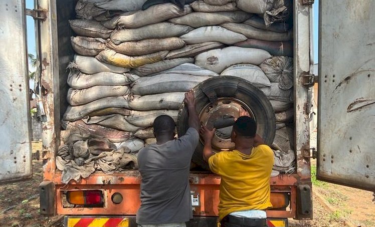 COCOBOD Intercepts Over 1,500 Bags Of Smuggled Cocoa