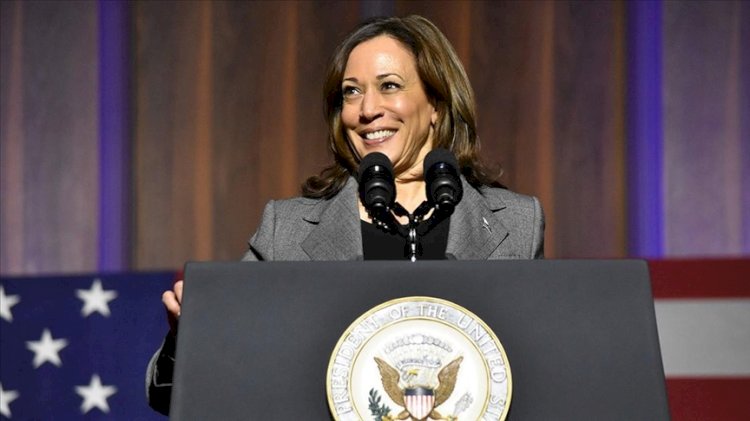 US Partnership With Africa Is For Mutual Benefits - Kamala Harris