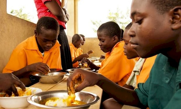 3 Billion Needed To Sustain School Feeding Programme - EduWatch Africa