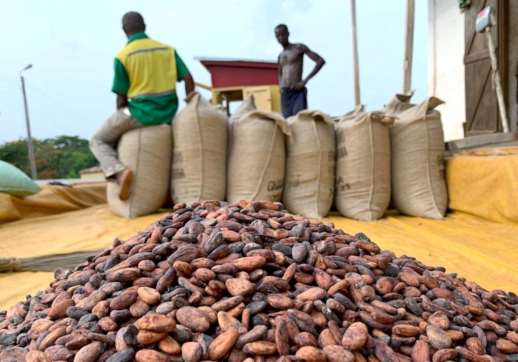 Cocoa Industry Is Not Collapsing – COCOBOD To Mahama