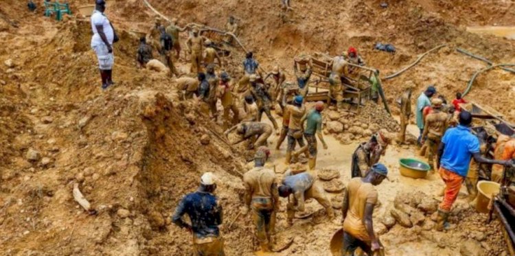 34 Forest Reserves Under Threat Over Galamsey - Forestry Commission