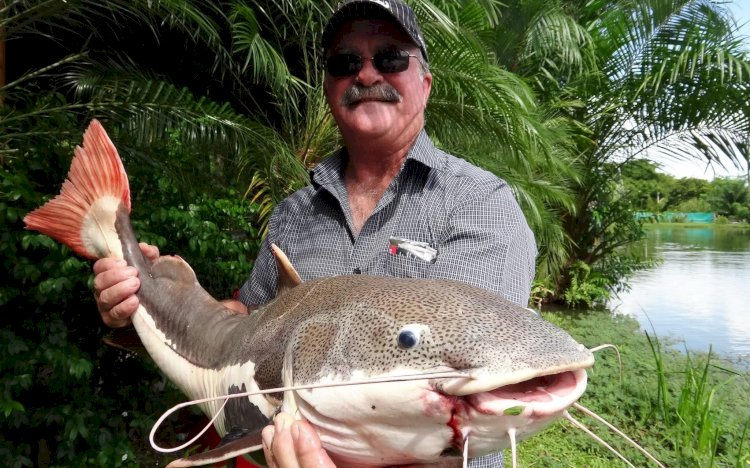 Missing Australian Fisherman’s Body Found In Crocodile