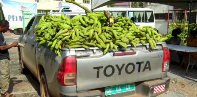 We Have Enough Food Despite Economic Challenges - Akufo-Addo