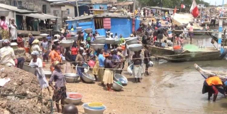 Fish Export: Ghana Earned $254 Million In 2022